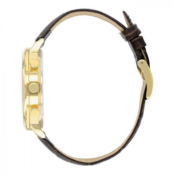 Đồng hồ Citizen CT-AN3612-09X