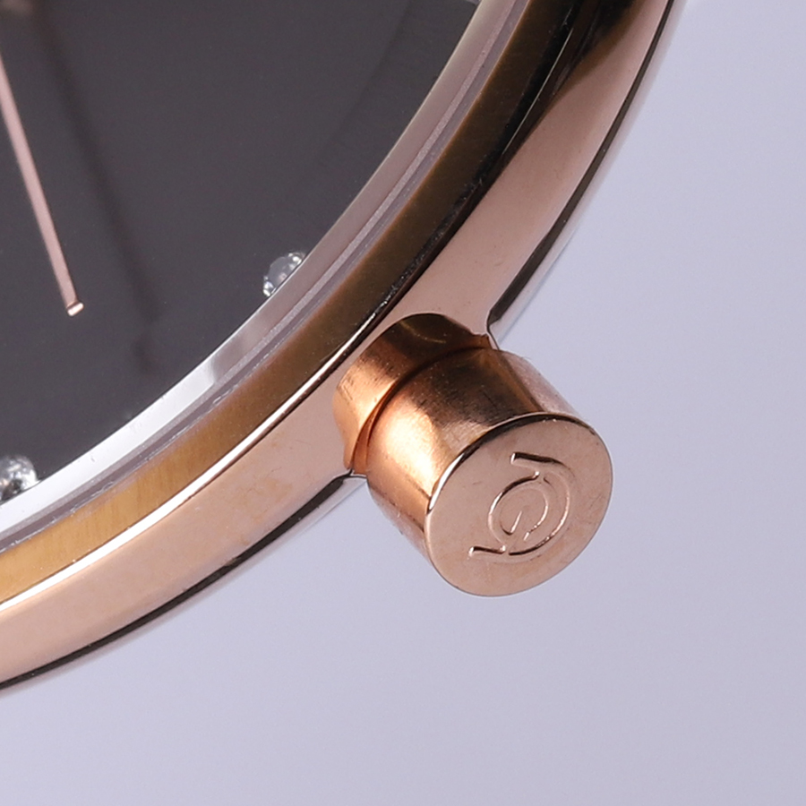 Đồng hồ Aries Gold AG-L5033Z RG-BK
