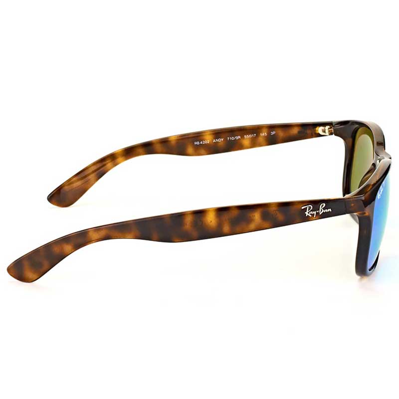 Kính mát Rayban RB-4202F-710/9R(57IT)