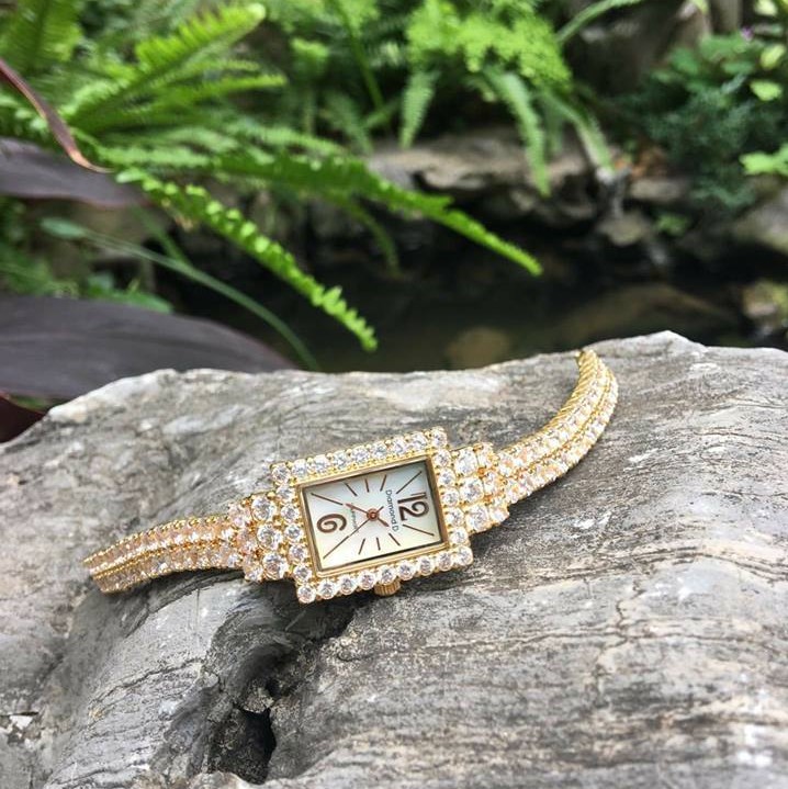 Đồng hồ Diamond D DM35845IG