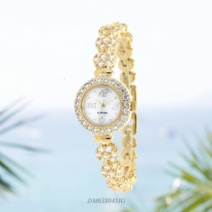 Đồng hồ Diamond D DM638045IG