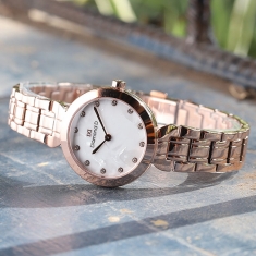 Đồng hồ Diamond D DD6016E