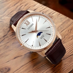 Đồng hồ Citizen CT-AK5003-05A