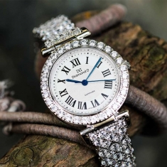 Đồng hồ Diamond D DM4633B5
