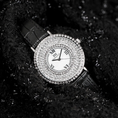 Đồng hồ Diamond D DD6013A