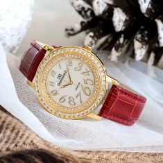 Đồng hồ Diamond D DM36325IG-R