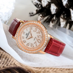 Đồng hồ Diamond D DM36325RG-R