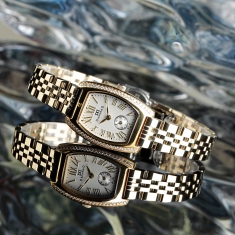 Đồng hồ Diamond D DM1008YG